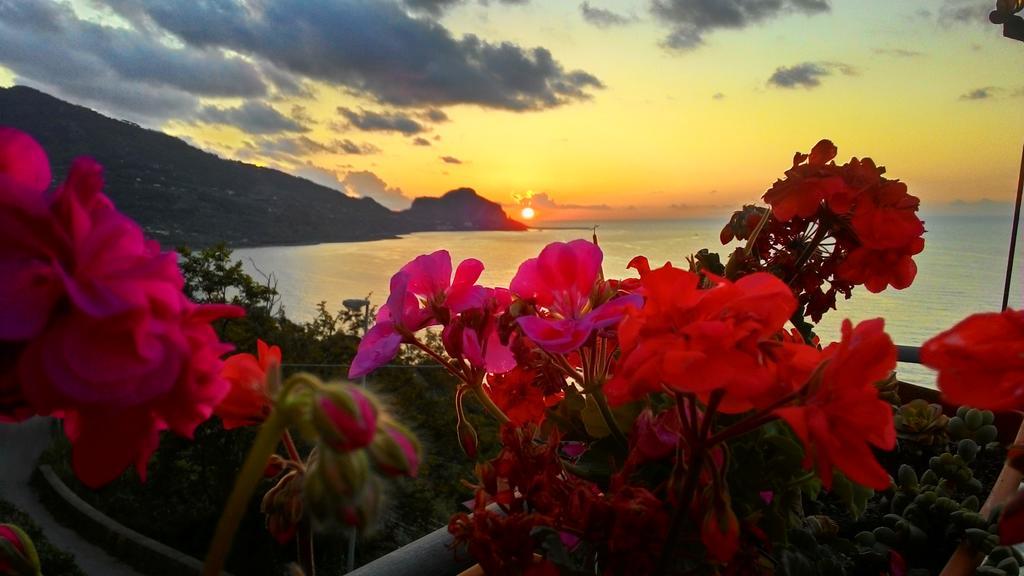 Framavi Βίλα Cefalù Εξωτερικό φωτογραφία